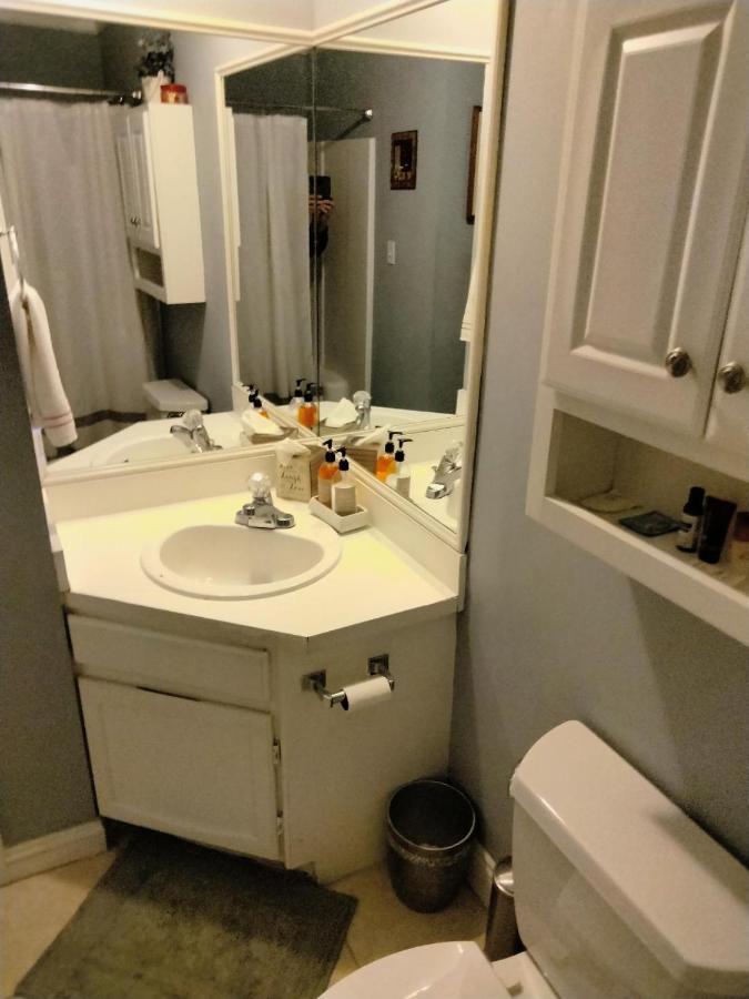 Unique 2 Bedroom / 2 Bath Condo In 미를 비치 외부 사진